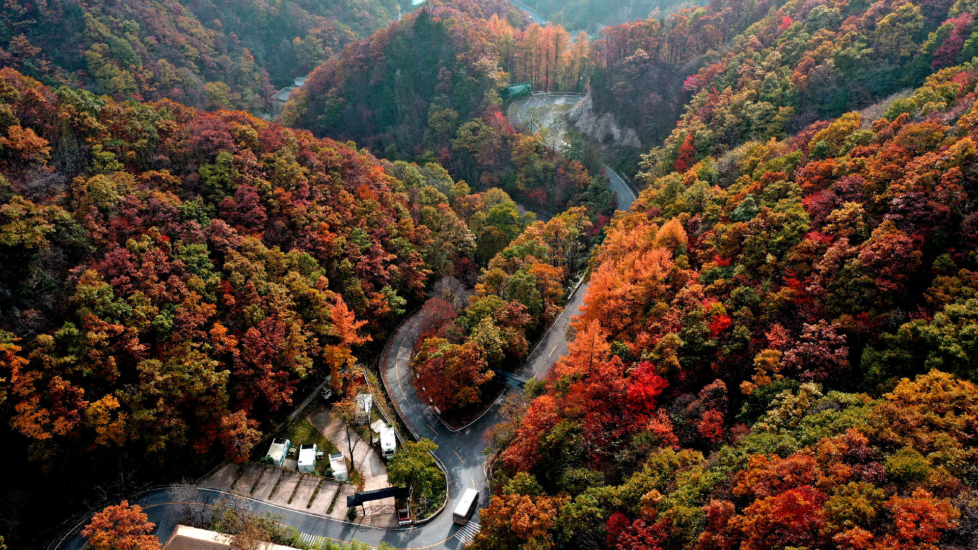 未标题-2_画板 1 副本 2.jpg