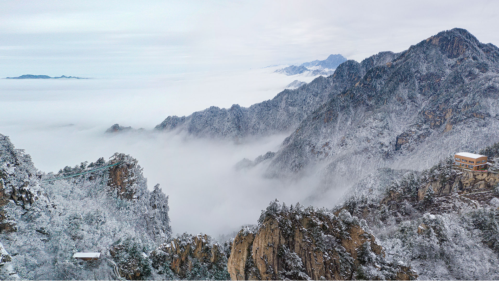 未标题-1_画板 1 副本 3.jpg