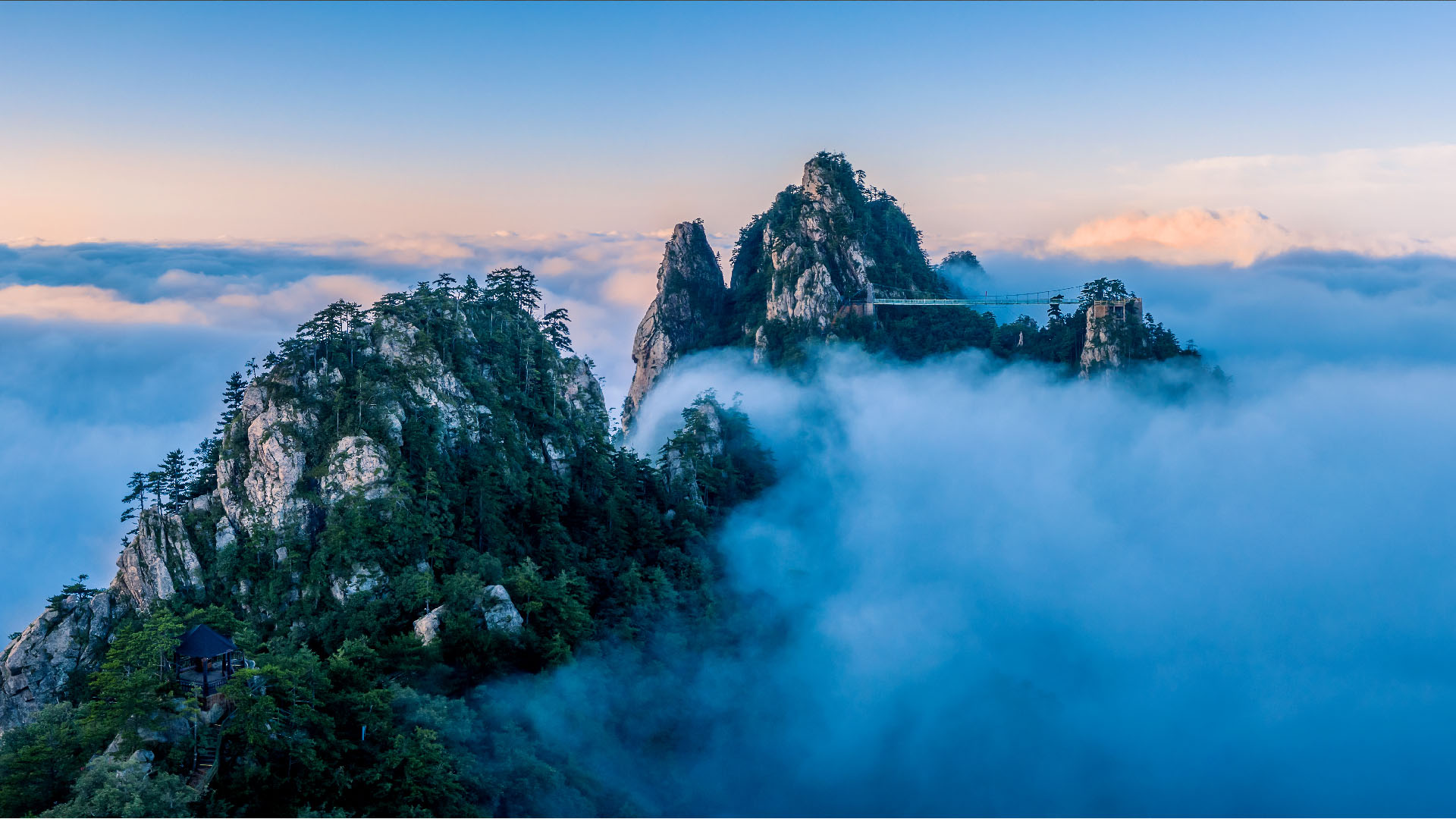 未标题-2_画板 1 副本.jpg