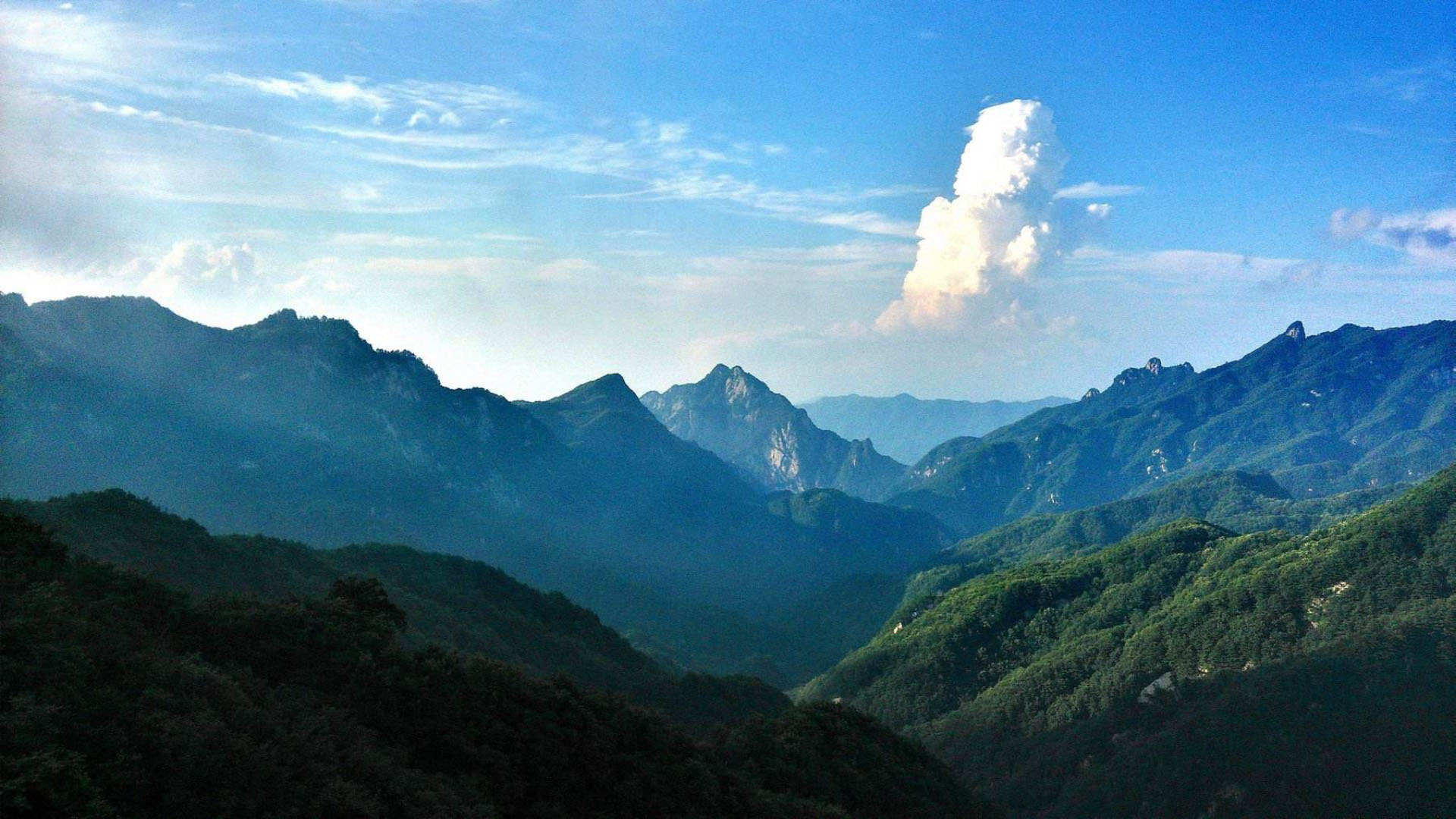 未标题-1_画板 2.jpg